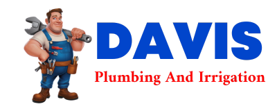 Trusted plumber in TOWACO